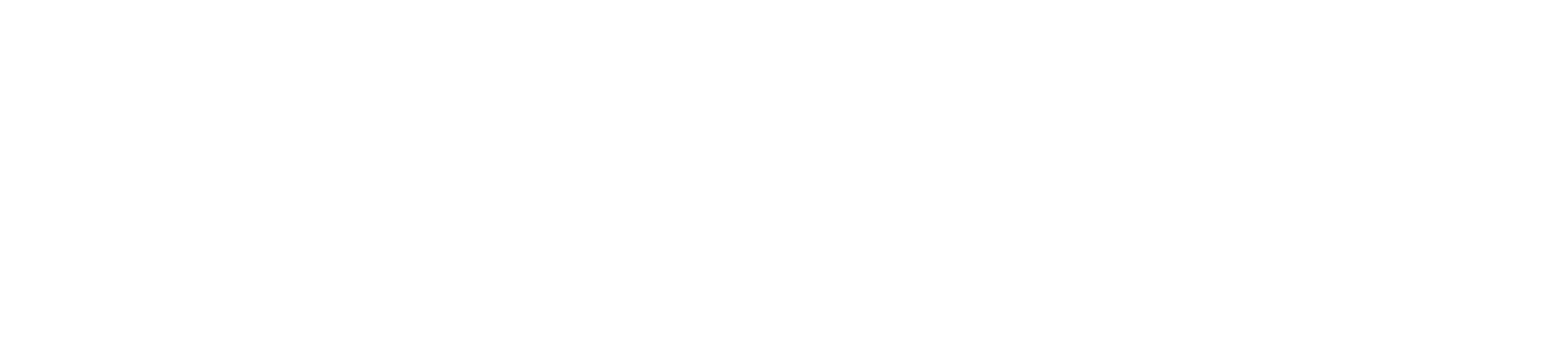 Archive Owl